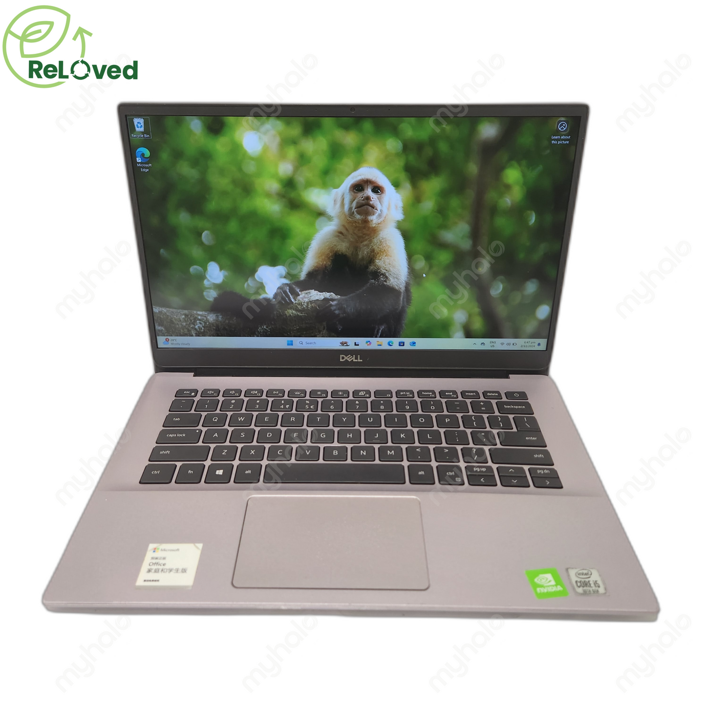 DELL Inspiron 5490 (I7-10/8GB/512GBS)