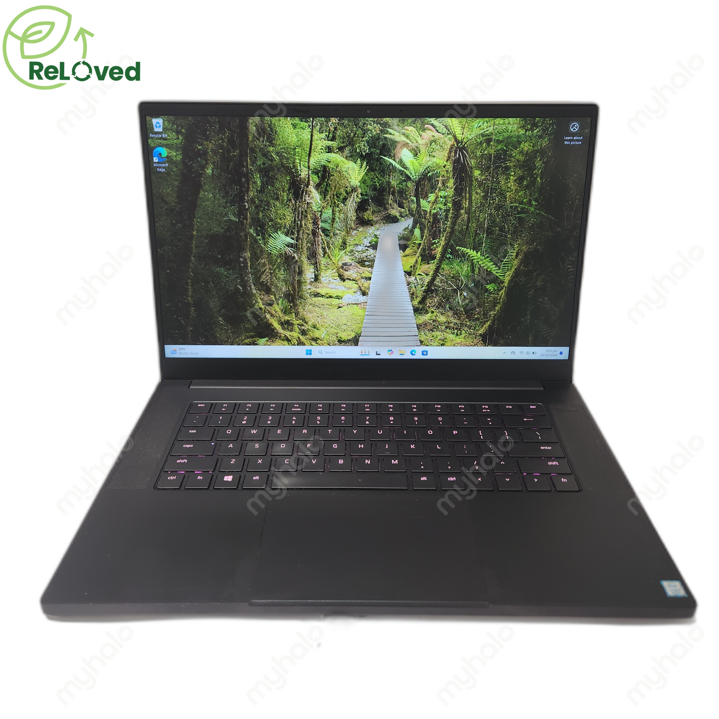 RAZER Blade RZ09-0270 (I7-8/16GB/128GBS+1TBH/GTX1060)