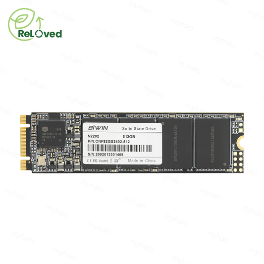 BIWIN 512GB SSD PCIe M.2 SATA 2280 (N2202)