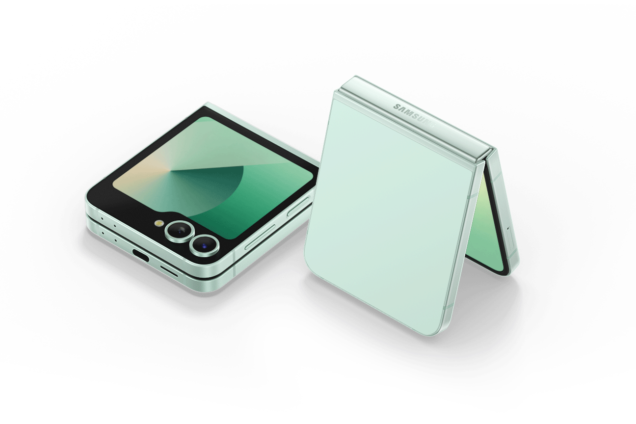 SAMSUNG Galaxy Z Flip6 5G (F741B)