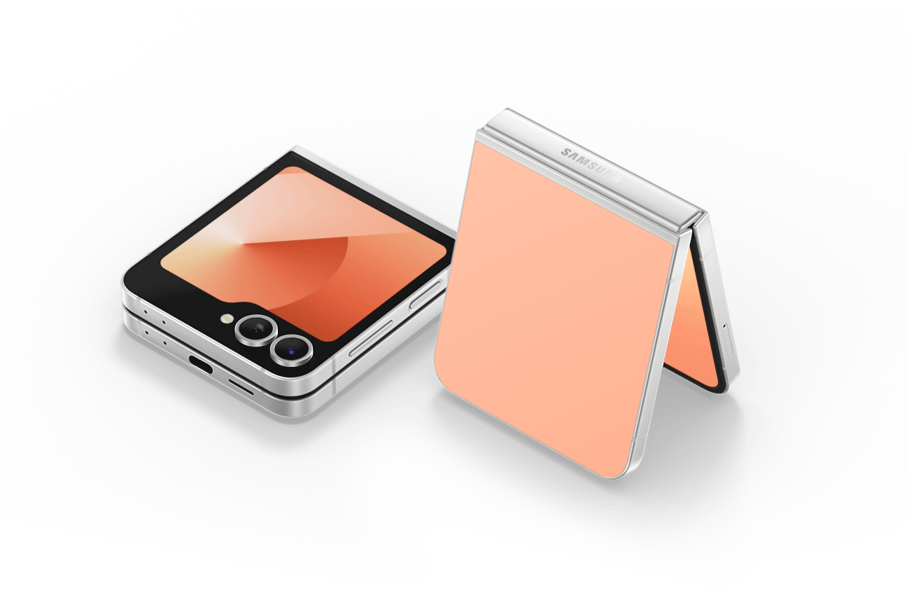 SAMSUNG Galaxy Z Flip6 5G (F741B)